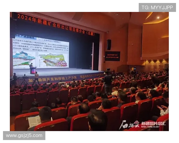 聚焦新疆企业家创新驱动高质量发展实践路径与未来战略研究深度探讨